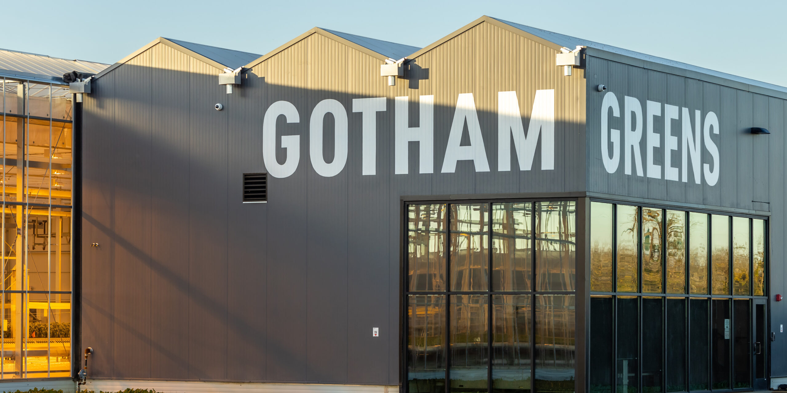 Gotham Greens opens New England greenhouse - Produce Processing